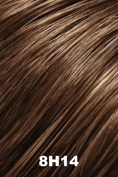 Jon Renau - Synthetic Colors - 8H14 (Mousse). Med Brown w/ 20% Med Natural Blonde Highlights.