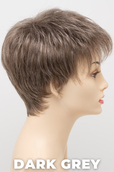 Color Swatch Dark Grey for Envy wig Ivy. Silver grey base with hints of neutral brown woven throughout.