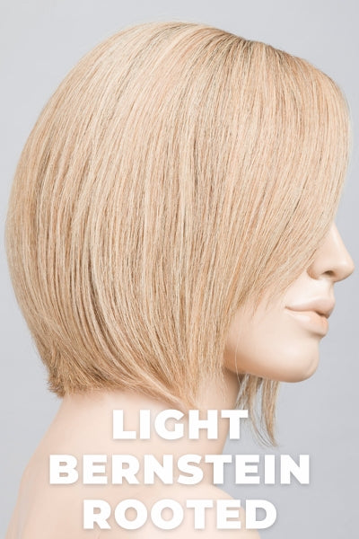 Rooted Lightest Brown blended with Light Honey and Light Golden Blonde.