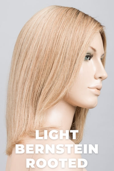 Rooted Lightest Brown blended with Light Honey and Light Golden Blonde.