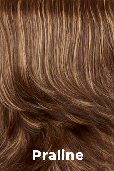 Mane Attraction - Synthetic Colors - Praline. Dark Brown with Golden Blonde highlights.