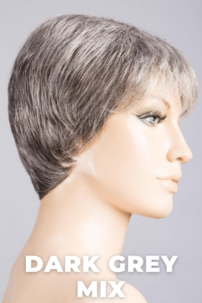 Ellen Wille Wigs - Rimini Mono Wig Ellen Wille Dark Grey Mix Petite-Average 