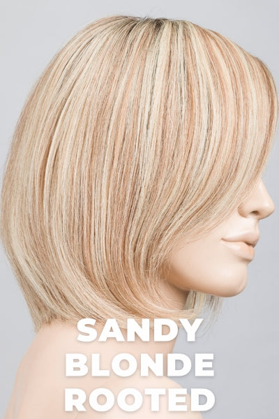 Rooted Light Blonde and Light Brown mix with Neutral and Ash undertones.