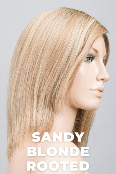 Rooted Light Blonde and Light Brown mix with Neutral and Ash undertones.