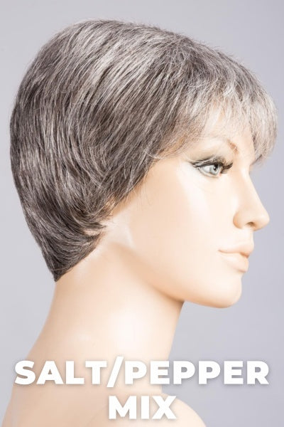 Ellen Wille Wigs - Ginger Mono wig Ellen Wille Salt/Pepper Mix Average 