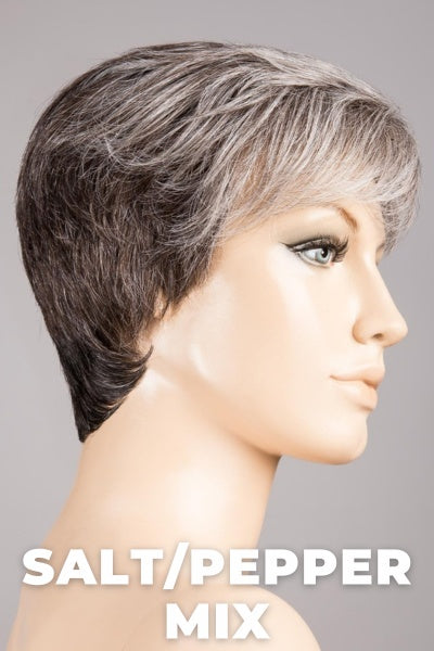 Ellen Wille Wigs - Encore - Human Hair Blend wig Ellen Wille Salt/Pepper Mix Petite-Average 