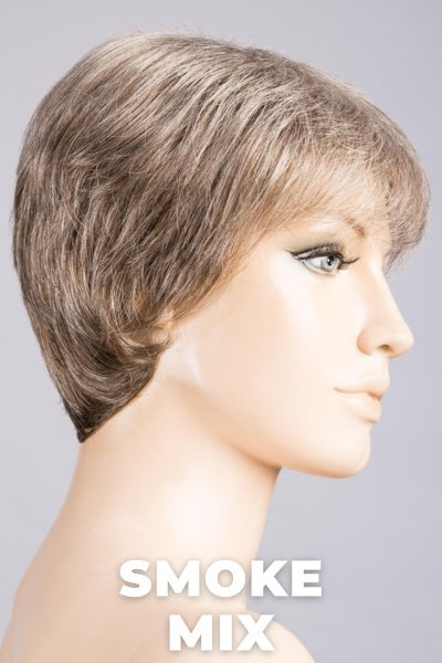 Ellen Wille Wigs - Ginger Mono wig Ellen Wille Smoke Mix Average 