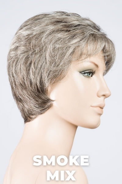 Ellen Wille Wigs - Alba Comfort wig Ellen Wille Smoke Mix Petite-Average 