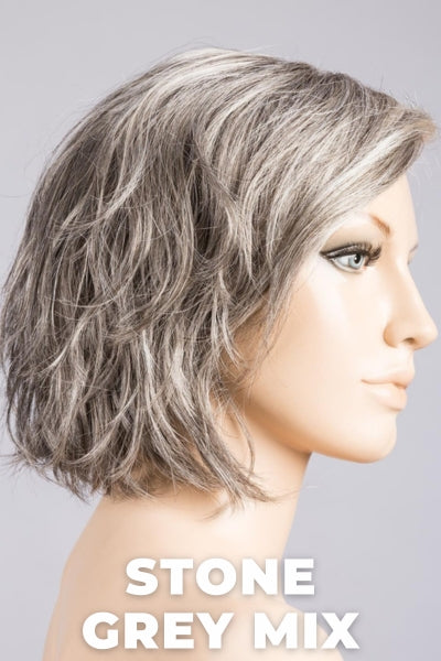 Ellen Wille Wigs - Night wig Ellen Wille Stone Grey Mix Petite Average 